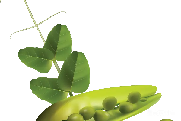 元素素材 豌豆荚插图