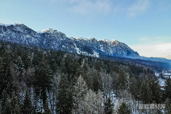 高清摄影 白天，蓝天下的雪山旁绿松树掩映