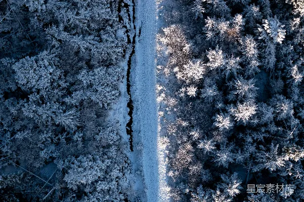 高清摄影 一个被雪覆盖的森林的空中视角