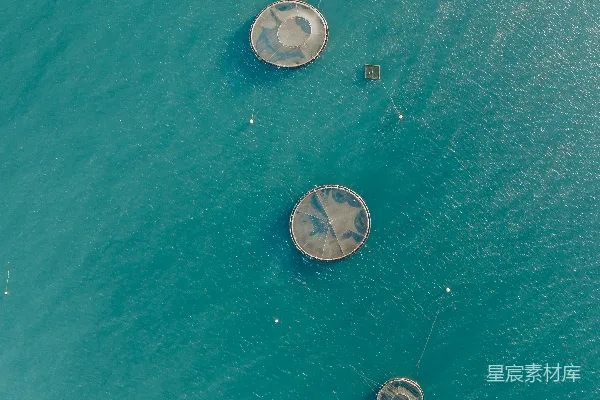 高清摄影 一串气泡在水中
