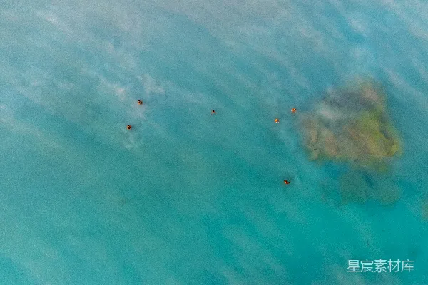 高清摄影 一群色彩斑斓的物体在空中漂浮。