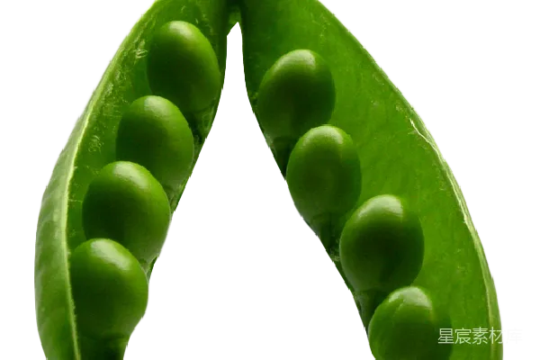 元素素材 豌豆