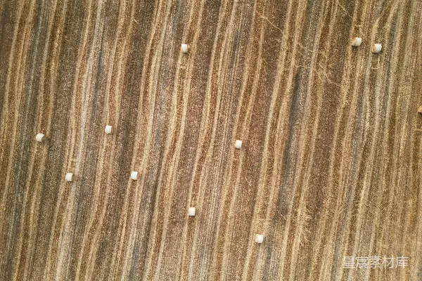 高清摄影 一张木头表面的特写照片