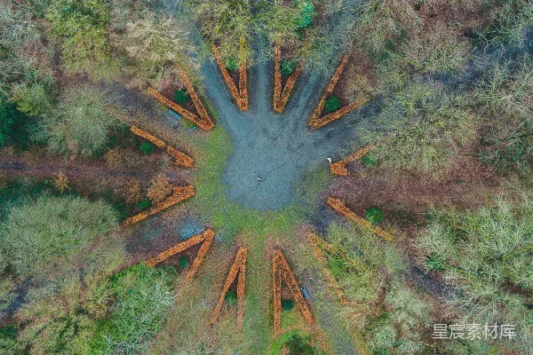高清摄影 树木的空中视角