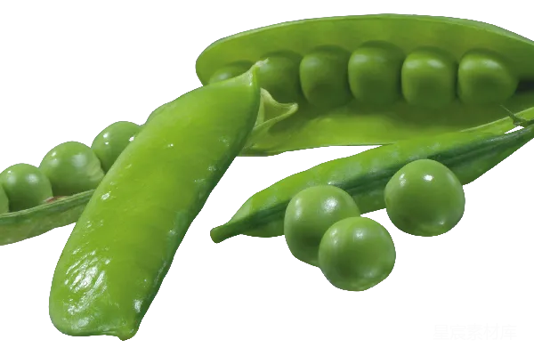 元素素材 豌豆