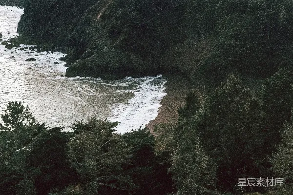 高清摄影 白天，水边的绿树