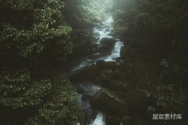 高清摄影 森林中的一条小溪