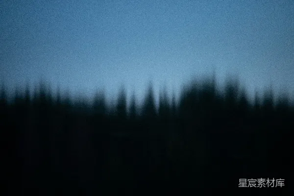 高清摄影 蓝天下的绿色松树在白天。