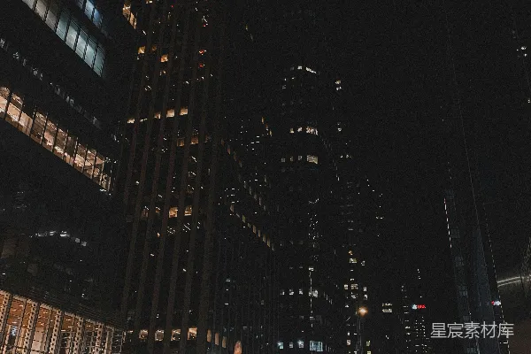 高清摄影 一座夜晚的城市，有许多高楼大厦