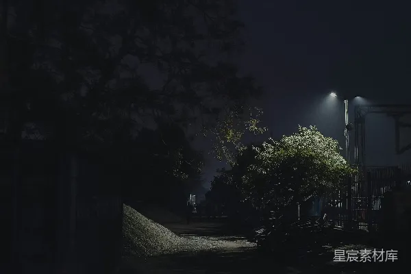 高清摄影 夜晚的黑暗街道，路灯照明。