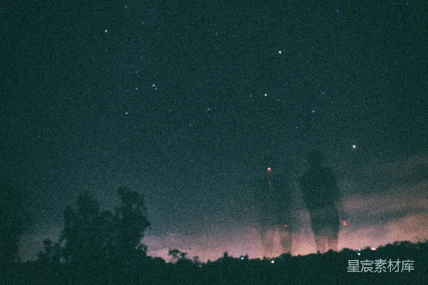 高清摄影 树的剪影在黑暗的夜空下，星星闪烁。