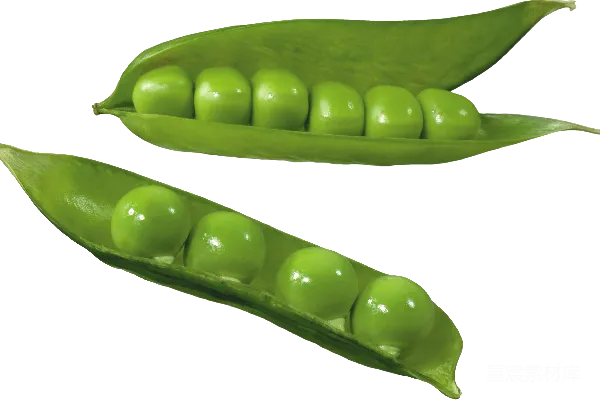 元素素材 豌豆