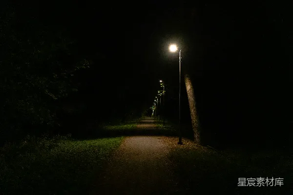 高清摄影 一盏路灯在夜晚的黑暗街道上。