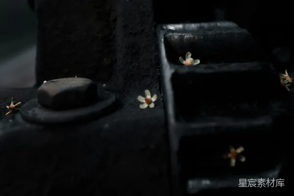 高清摄影 一张黑色物体的特写照片