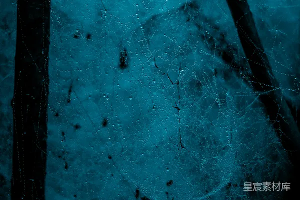 高清摄影 一张黑白照片，地面上覆盖着积雪。