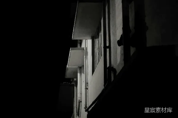 高清摄影 一张夜晚的黑白照片，显示了一座建筑物。