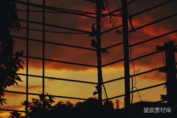 高清摄影 透过窗户看到的夕阳景色