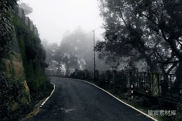 高清摄影 一条道路两旁有树木。