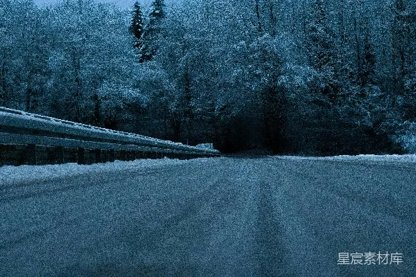高清摄影 一条覆盖着雪的路，背景中有树木。