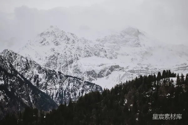 高清摄影 一座覆盖着积雪的山，前景中有树木。