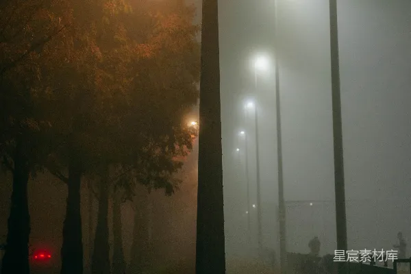 高清摄影 一个雾蒙蒙的夜晚在公园里，路灯照亮了道路。