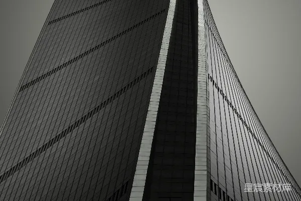 高清摄影 一张黑白照片，显示一座高大的建筑物。