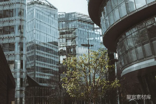 高清摄影 现代化的玻璃建筑，庭院中有一棵小树。
