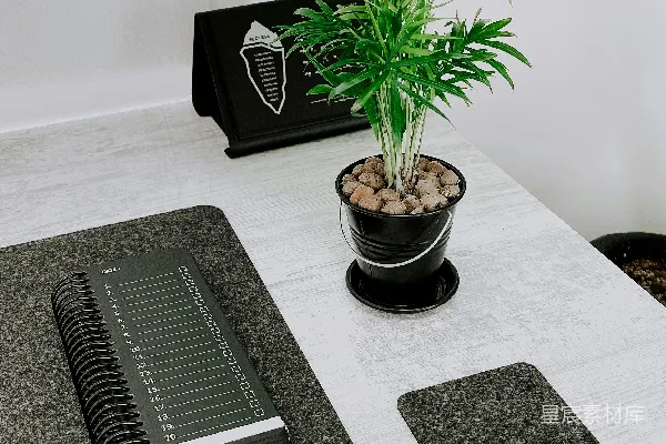 高清摄影 一盆植物放在白色桌子上。
