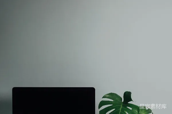 高清摄影 黑色平板电视旁边有一株绿色植物。