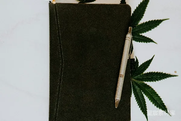 高清摄影 一本笔记本，上面有一个大麻叶的图案。