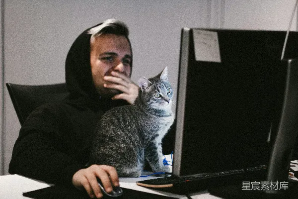 高清摄影 男人在电脑前，猫在电脑前面。