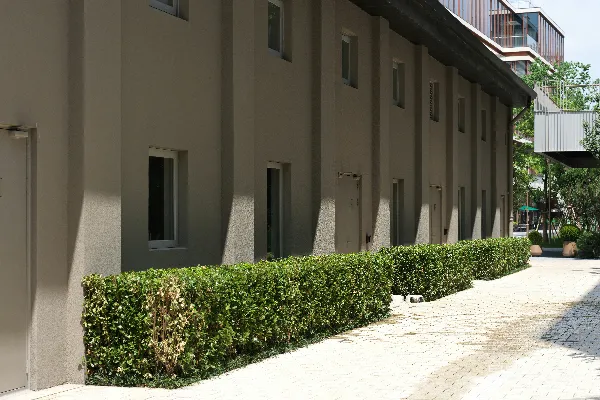 高清摄影 一座建筑物前面长着一排灌木丛的建筑物
