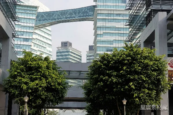 高清摄影 白天，白色混凝土建筑旁有一棵绿树。