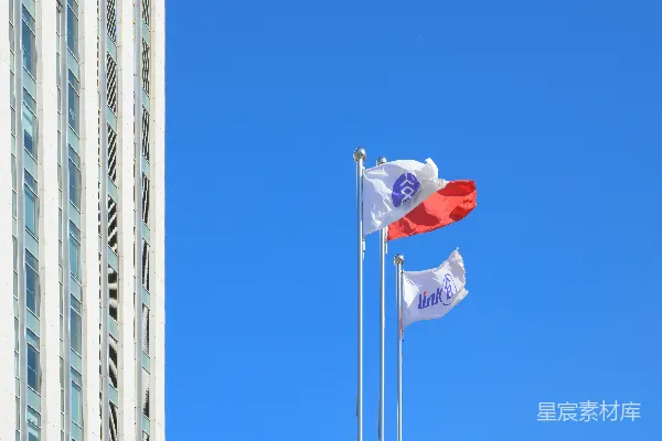 高清摄影 两面旗帜并排飘扬在一座高楼前面。