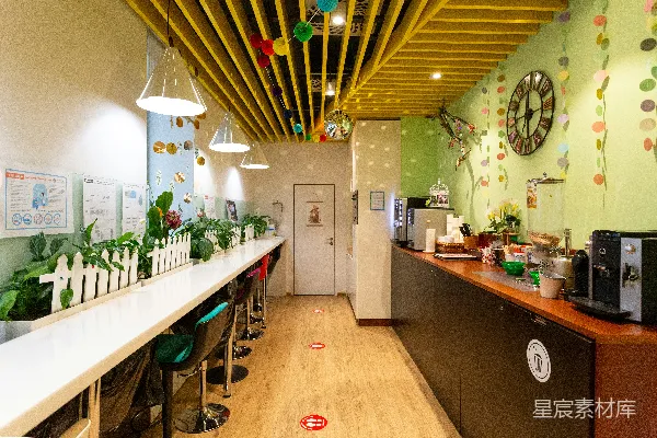 高清摄影 棕色木桌上的绿色盆栽植物