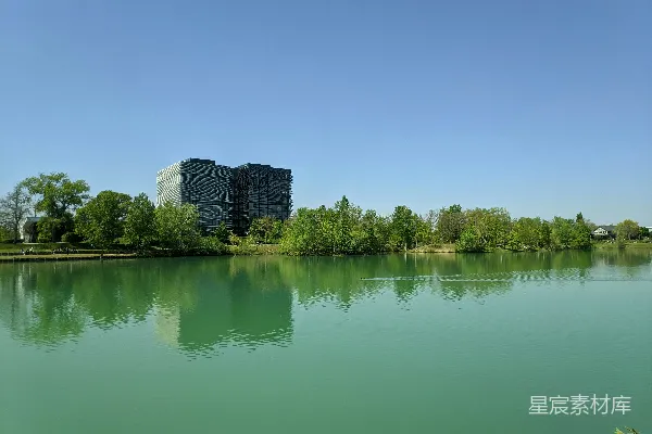 高清摄影 白天，水边的绿树