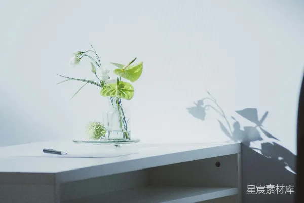 高清摄影 一张桌子上的花瓶