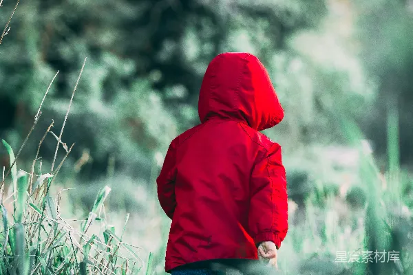 高清摄影 在白天，一个幼儿在草地上行走。