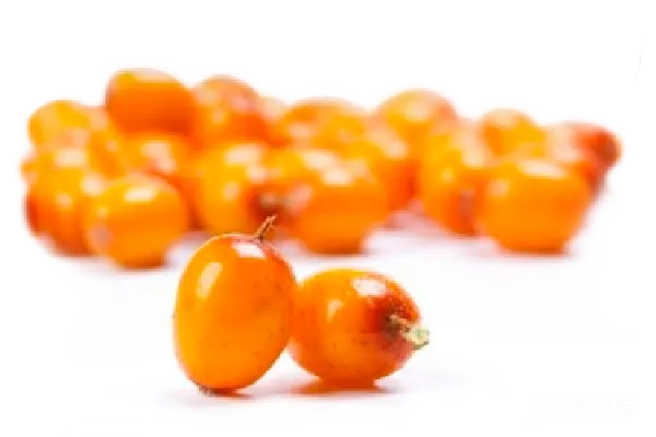 元素素材 PNG