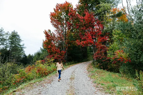 高清摄影 一个女人在树木之间的小径上行走