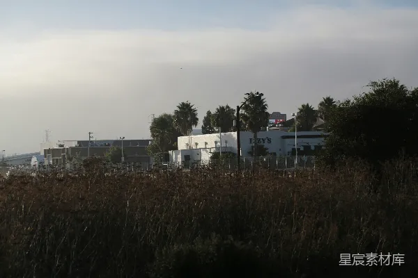 高清摄影 工业建筑和树木在薄雾笼罩的天空下。