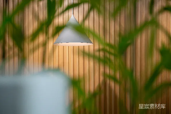 高清摄影 一盏挂在天花板上的白色灯，旁边有一株植物。