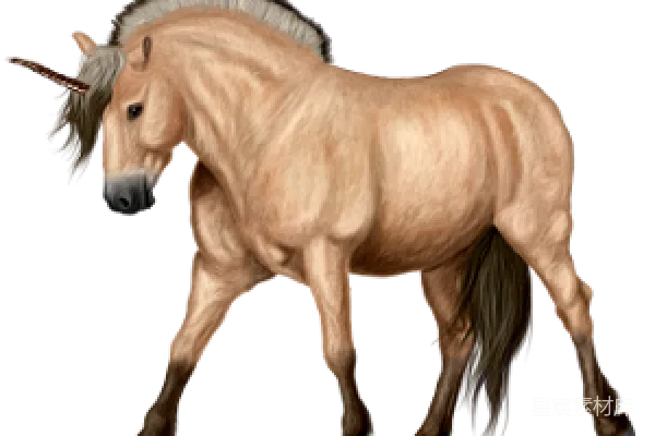 元素素材 PNG
