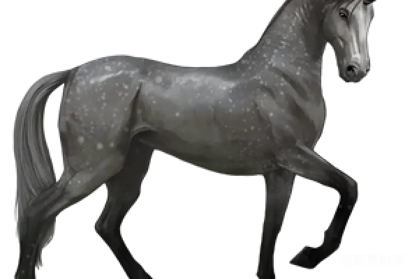 元素素材 独角兽