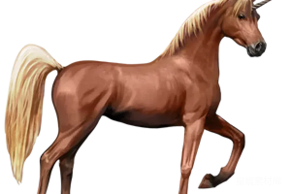 元素素材 独角兽