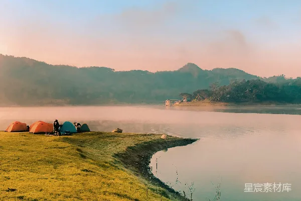 高清摄影 黄草地