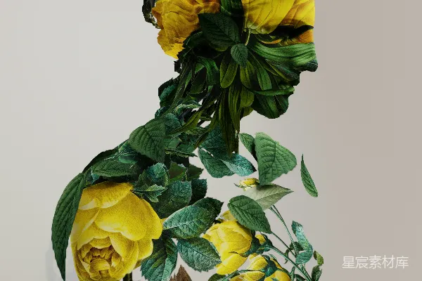 高清摄影 一簇黄色的花朵，绿叶环绕。
