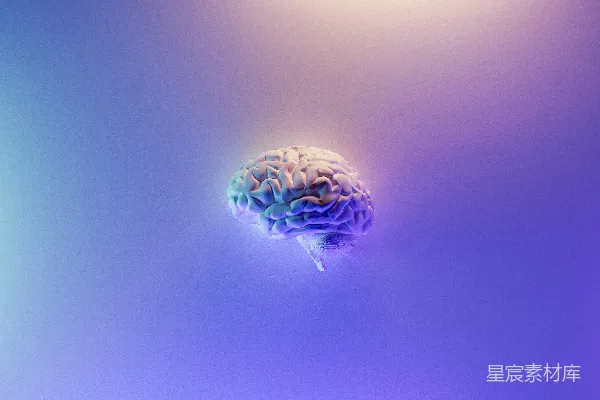 高清摄影 蓝紫色背景上的彩虹色大脑渲染图