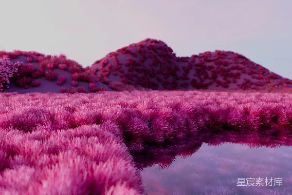 高清摄影 一片紫色的风景，有山脉和一片水域。