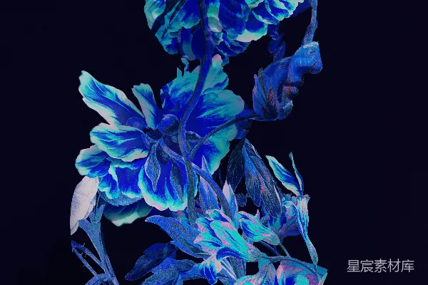 高清摄影 一朵蓝花在黑背景下